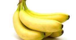 Bananen, die Früchte der Weisen