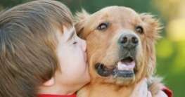 Kinder und Hunde: Was Sie wissen sollten