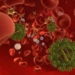 Blut